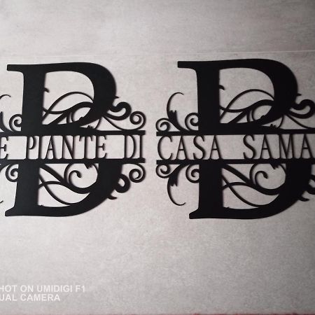 Bed and Breakfast Le piante di casa SaMar Castelguelfo Esterno foto