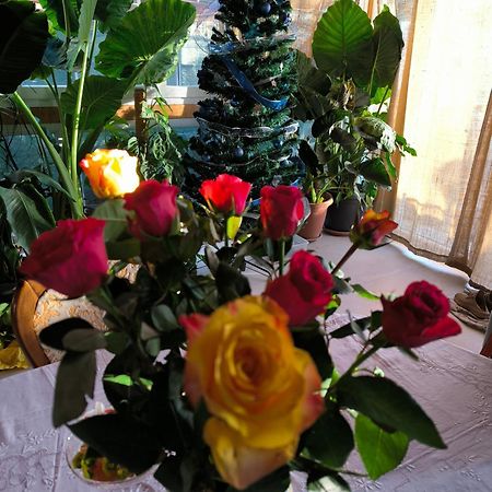 Bed and Breakfast Le piante di casa SaMar Castelguelfo Esterno foto