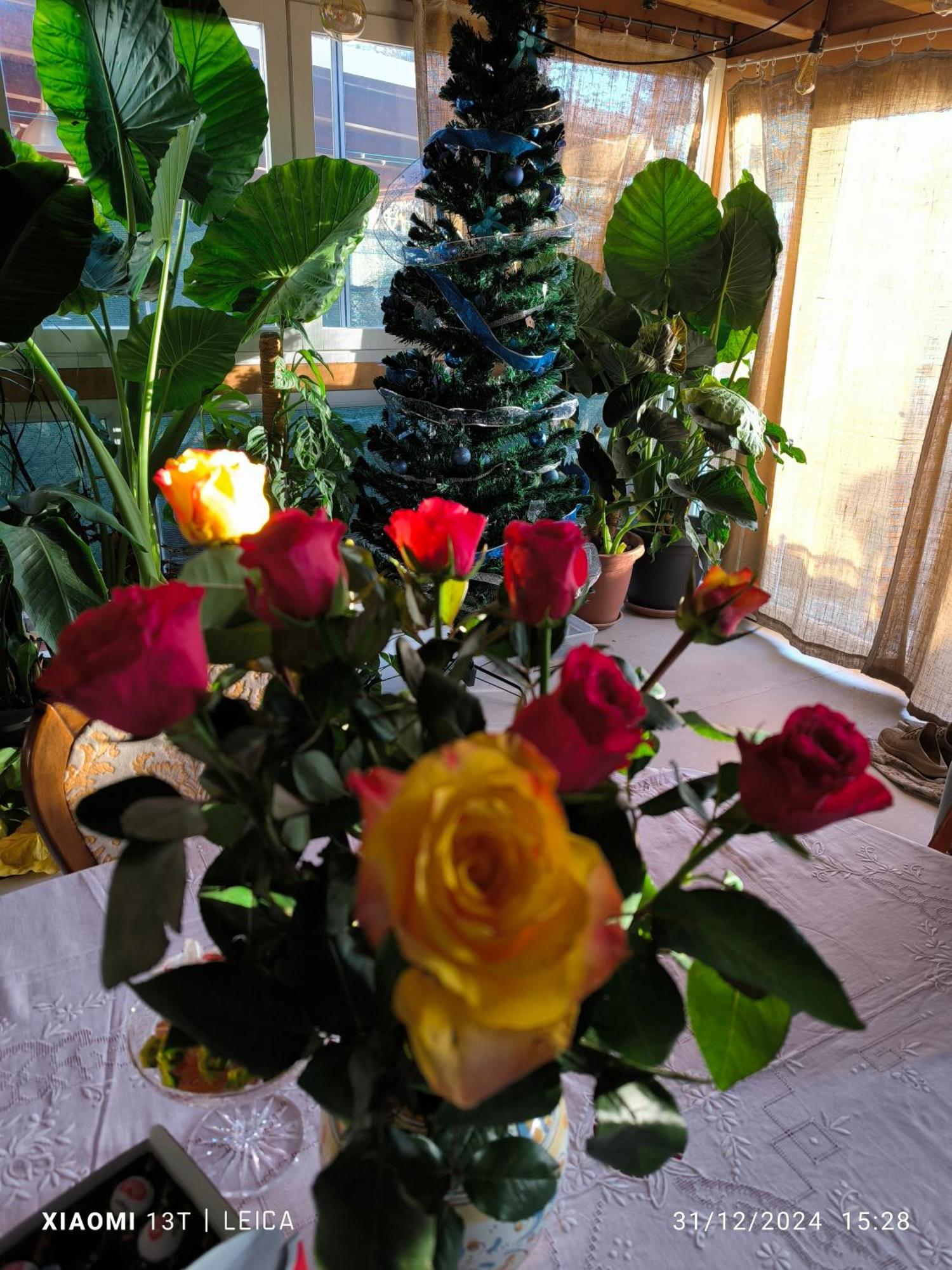 Bed and Breakfast Le piante di casa SaMar Castelguelfo Esterno foto